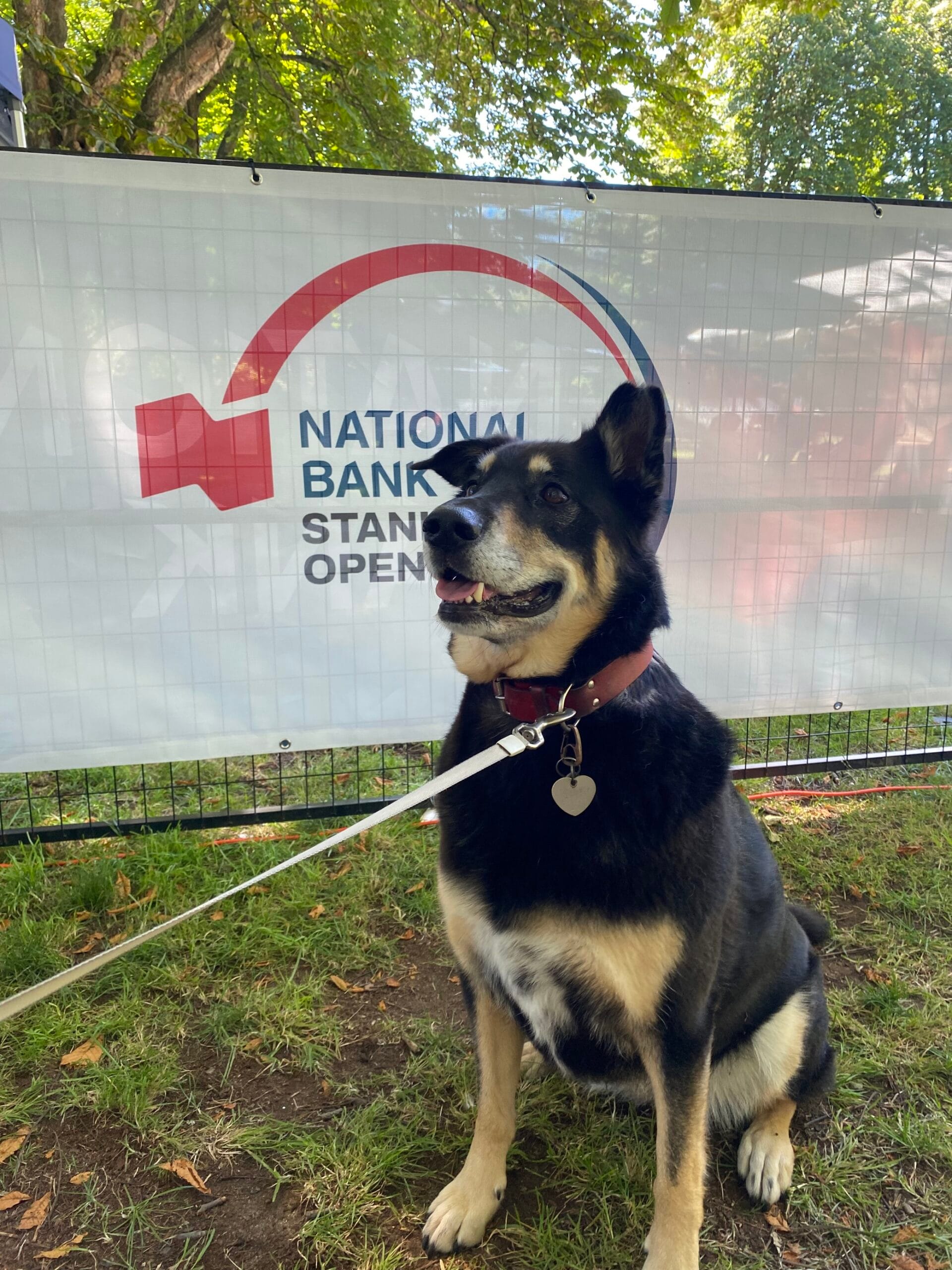 Image – 2024-07-06T170149.708