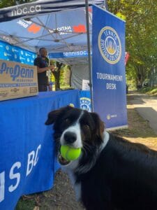 Image – 2024-07-13T093256.631resized