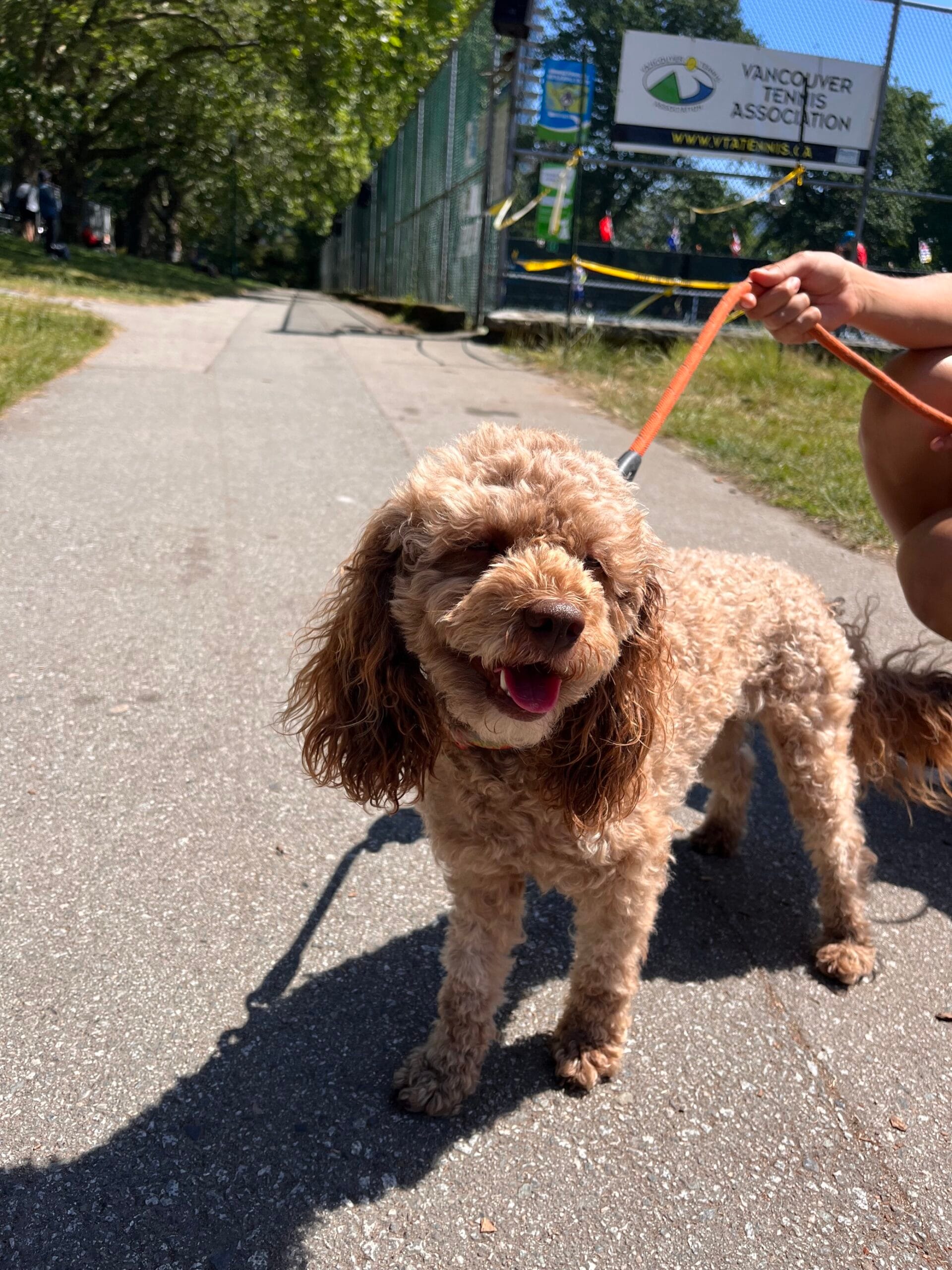 Image – 2024-07-20T220341.346